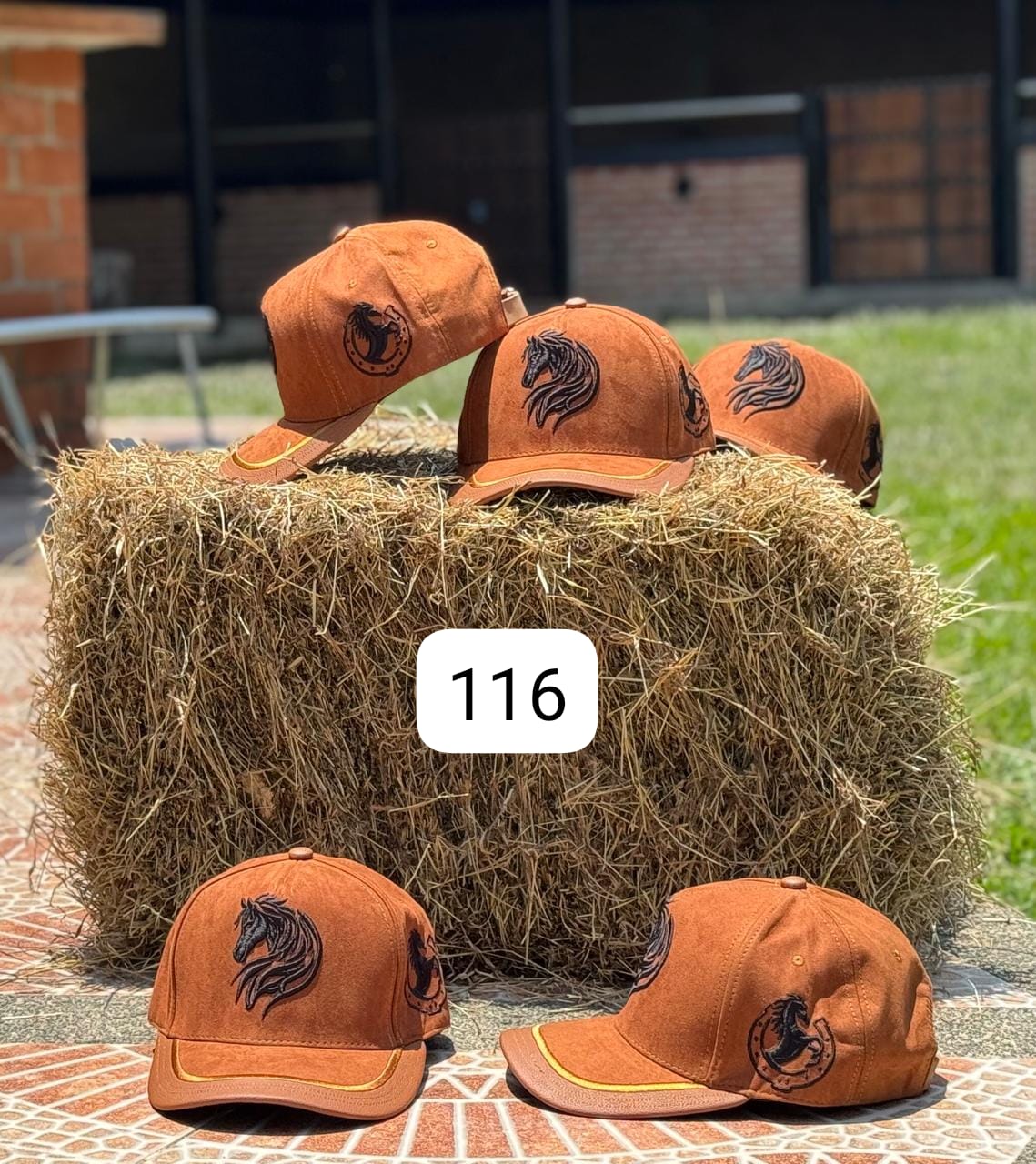 Miniatura 5 de Gorras Equinas Coleccion 31-03